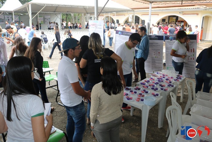 fdefaf22de94f417fdd2 fdefaf22de94f417fdd2