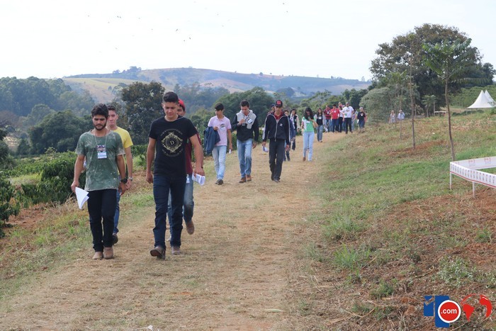 0093d4f82fff38354a7c