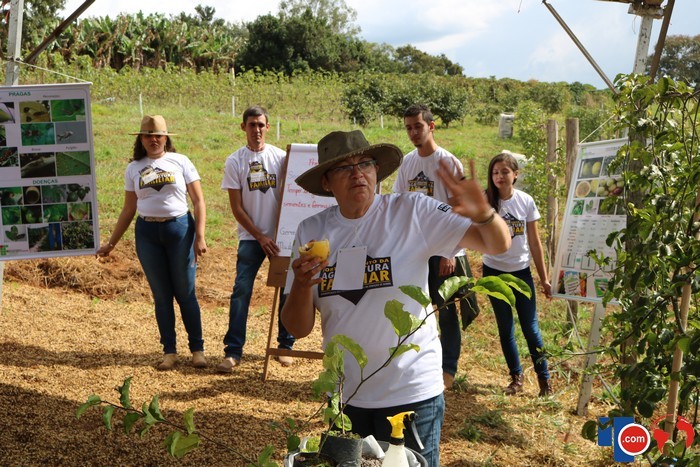 9a17f245baa1423ae059