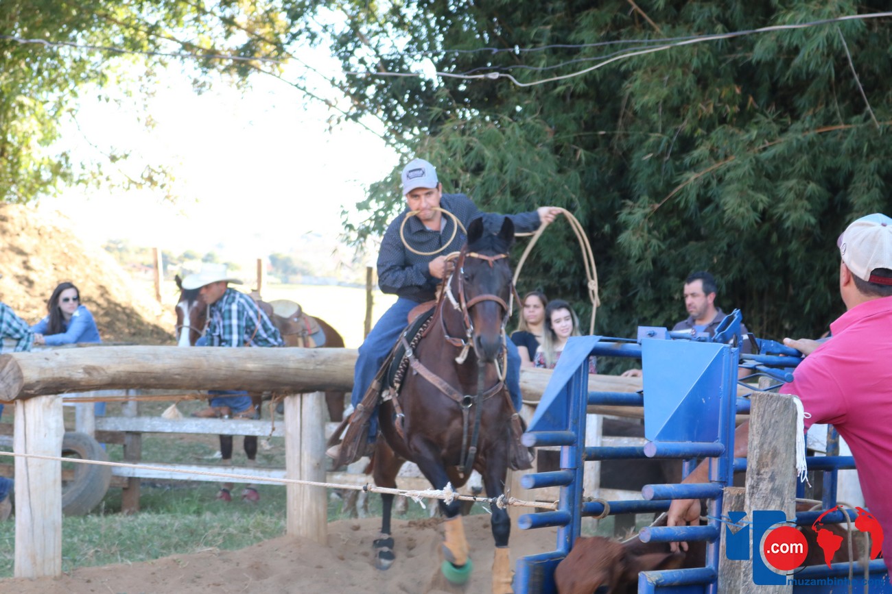 Golpes Golpistas, golpes