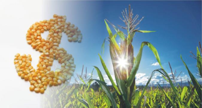 d3132bd8a5ab9c68f4ebe683d0414493