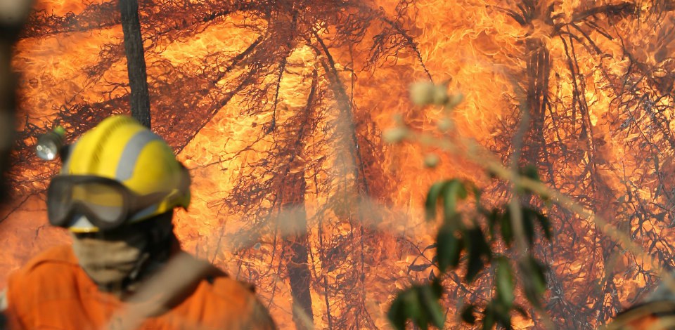 f145b141-0bb5-4456-9fee-c30b0b1f901f