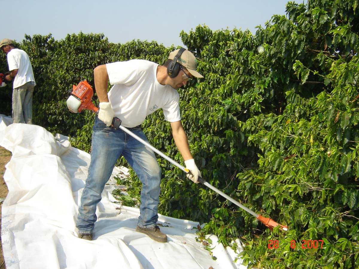 mozinha-derricadeira