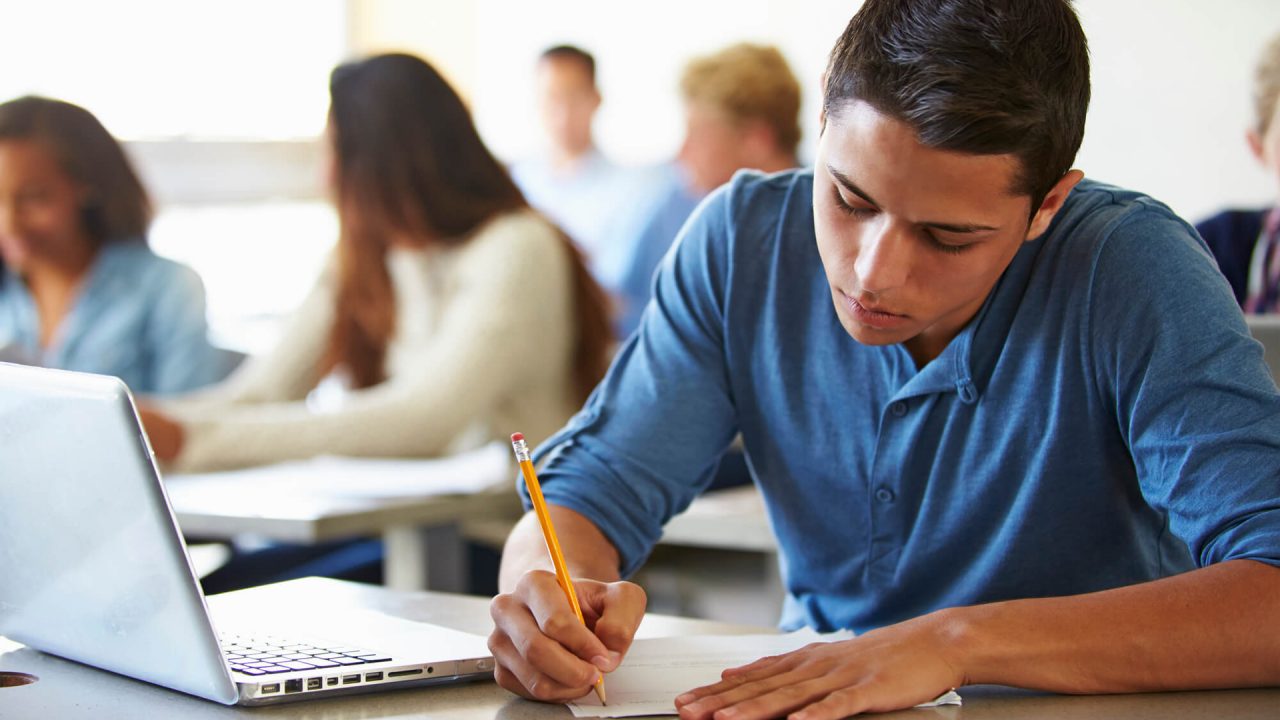 educação educação