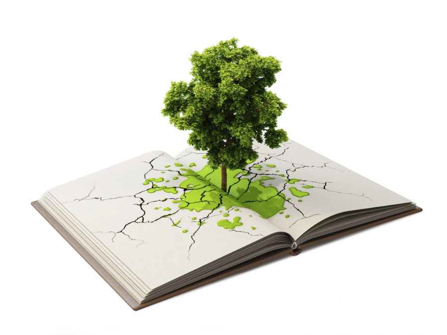 20181903-SINEPE-900x675