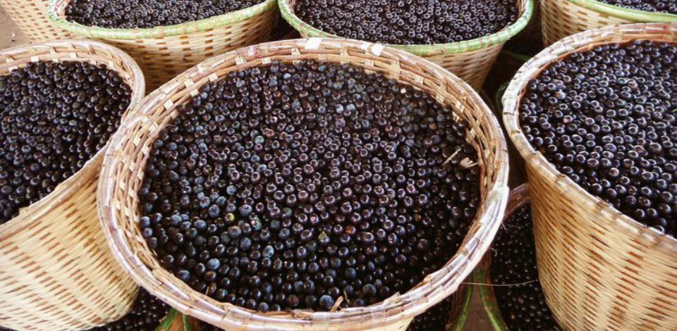 47443222-8be1-4538-8e9e-eb657e656abe