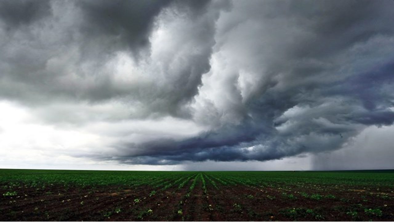 Sem Título-2 Sem Título-2