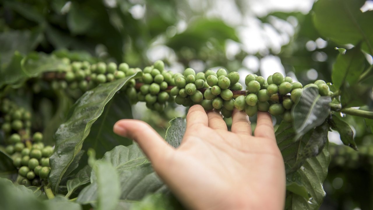 Sem Título-1 Sem Título-1