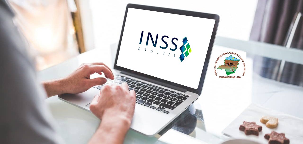 inss-digital inss-digital