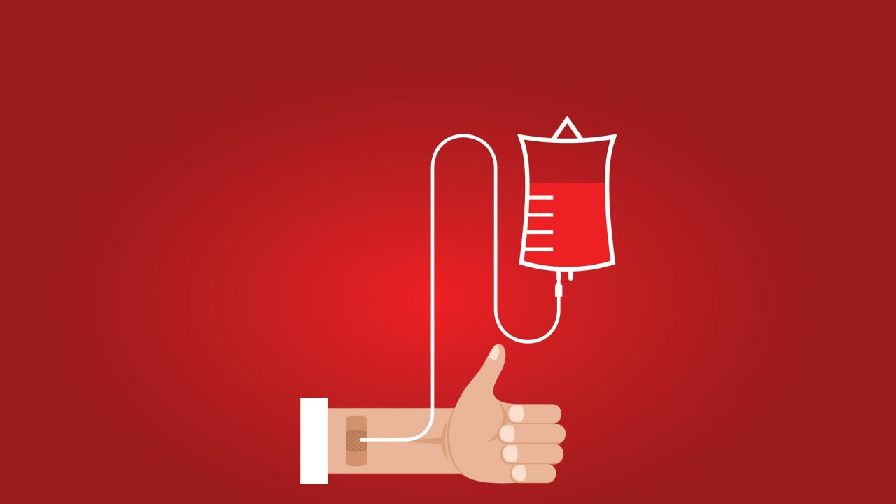 doação sangue doação sangue