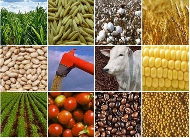 BrasilAgro BrasilAgro