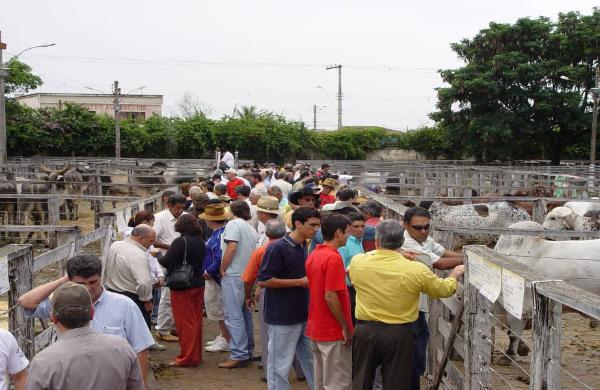 Feira Pr -Gen tica em Campina Verde
