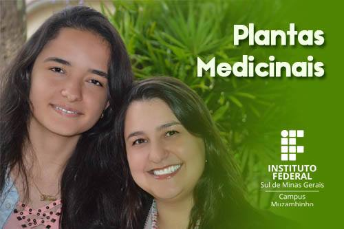PlantasMEdicinais PlantasMEdicinais