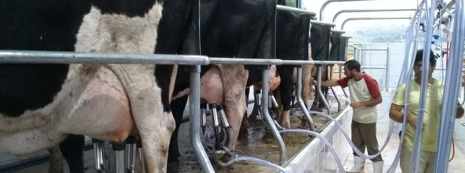 Sala_de_ordenha Sala_de_ordenha