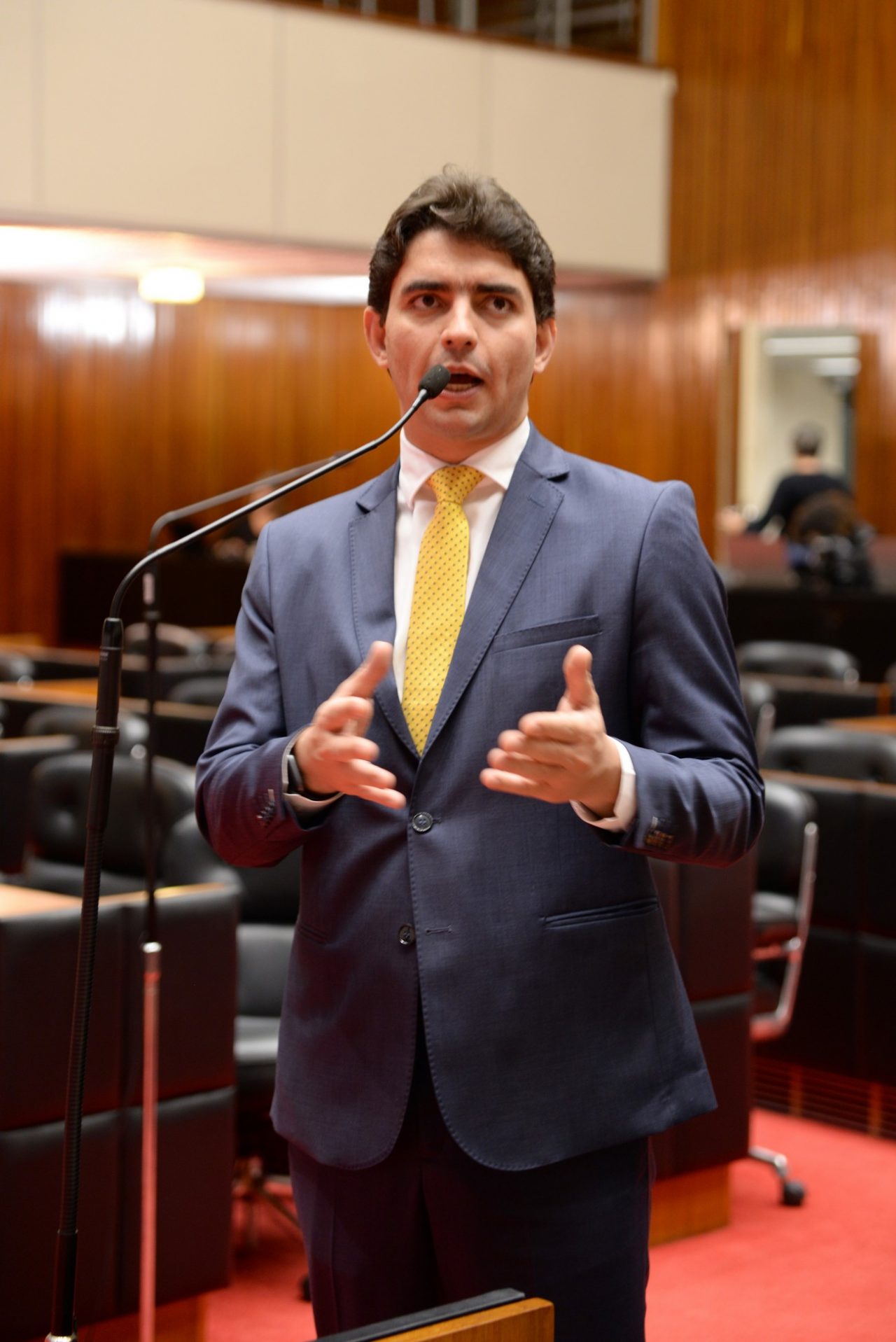 Reunião Ordinária - análise de proposições