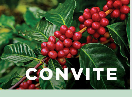 EmidinhoDebateBrasiliaConvite EmidinhoDebateBrasiliaConvite