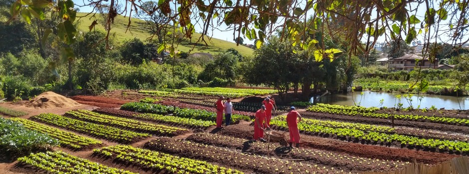 BOTELHOS_-_foto_da_capa BOTELHOS_-_foto_da_capa