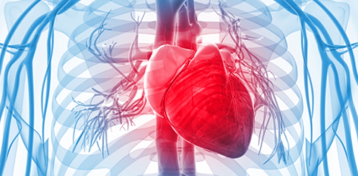 EventosCardiacos EventosCardiacos