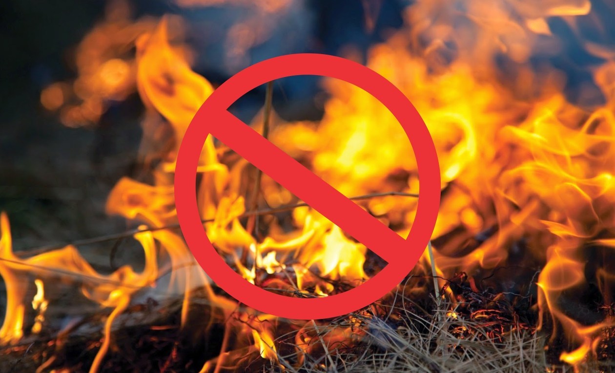 NaoQueimadas NaoQueimadas