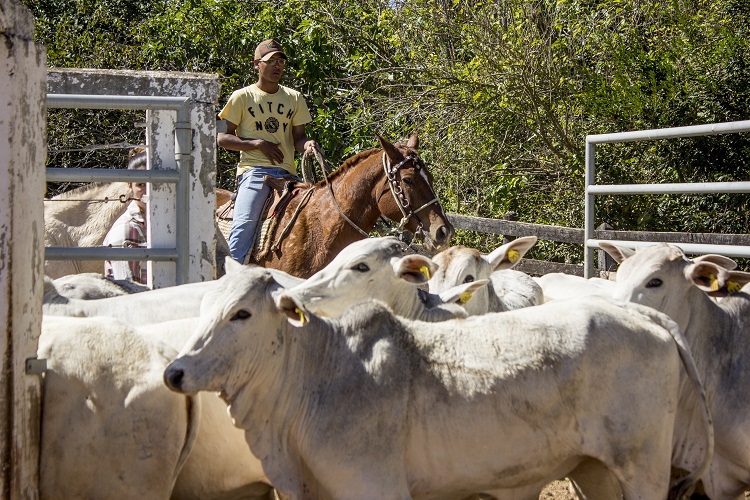 Foto_ilustrativa Foto_ilustrativa