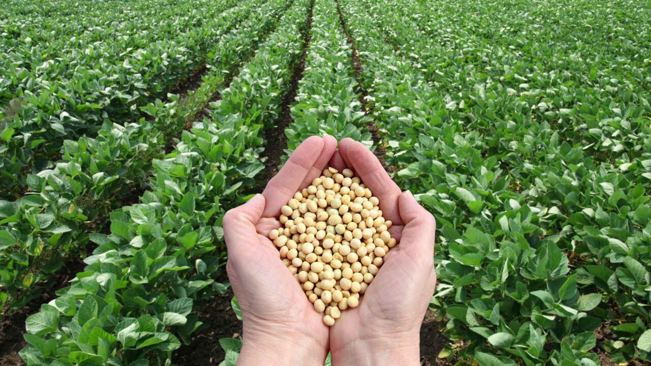 banner-expertise-agronomy banner-expertise-agronomy