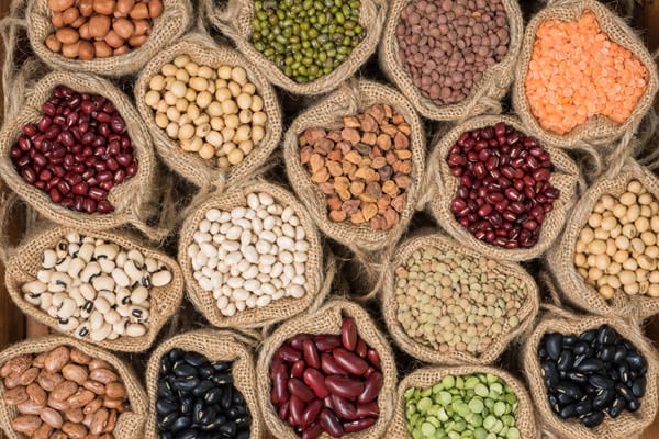 Grains-and-Legumes