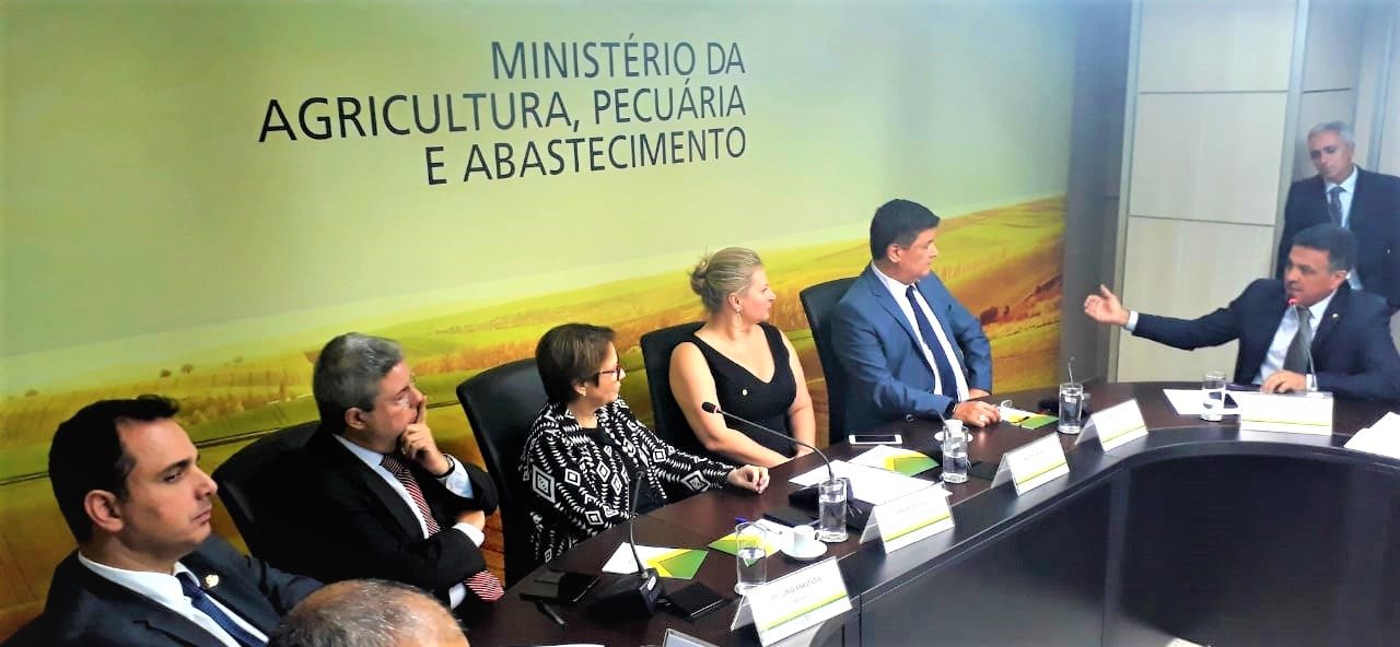 emidinhoMin1901 emidinhoMin1901