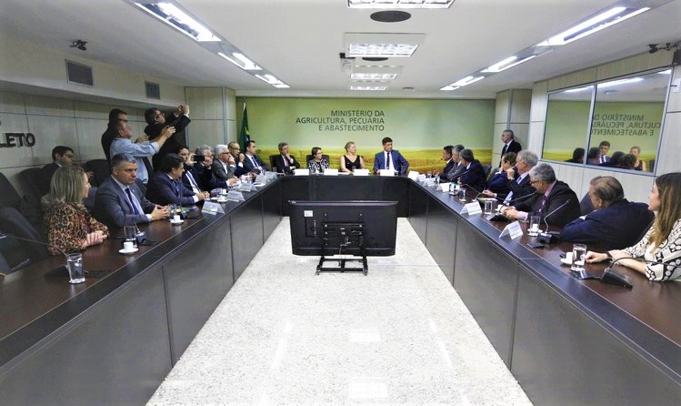 emidinhoMin1902 emidinhoMin1902