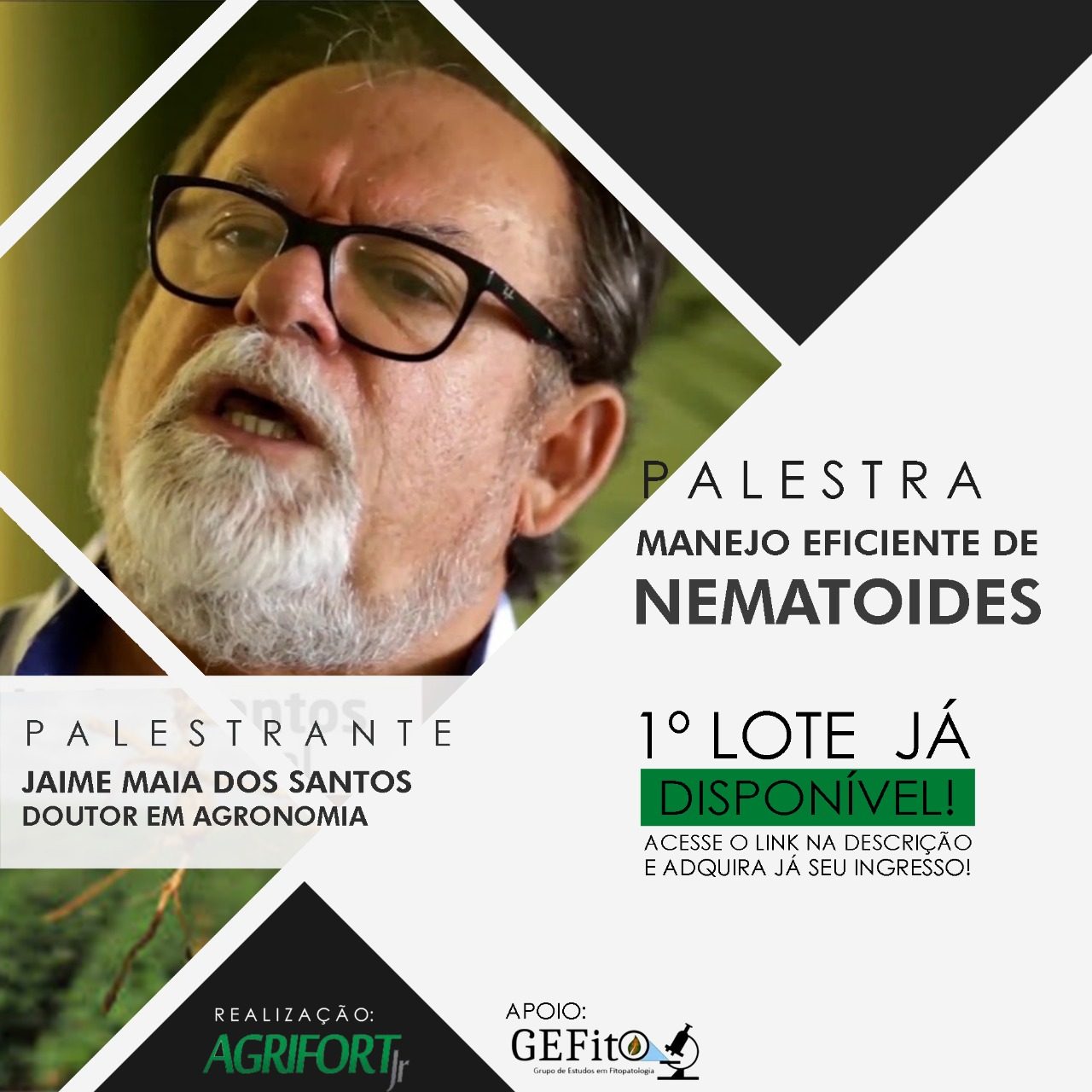 PalestraNematoide PalestraNematoide