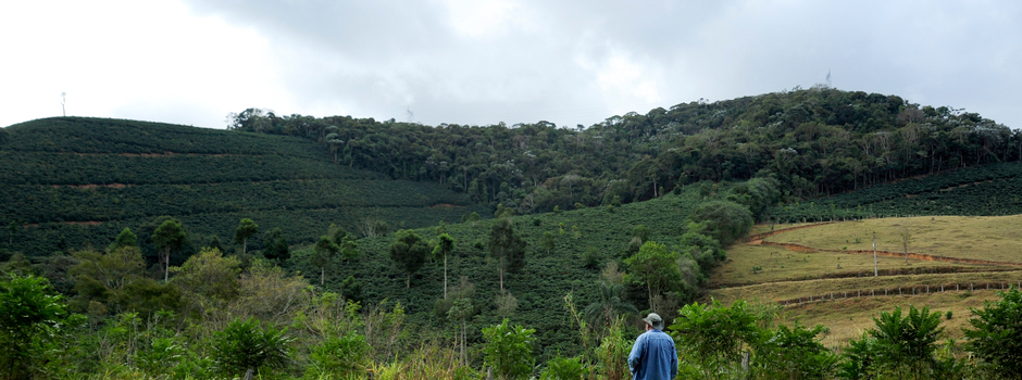 Projeto_Conexão_Mata_Atlântica_1