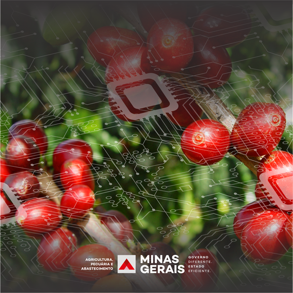 content_foto_arteseapa