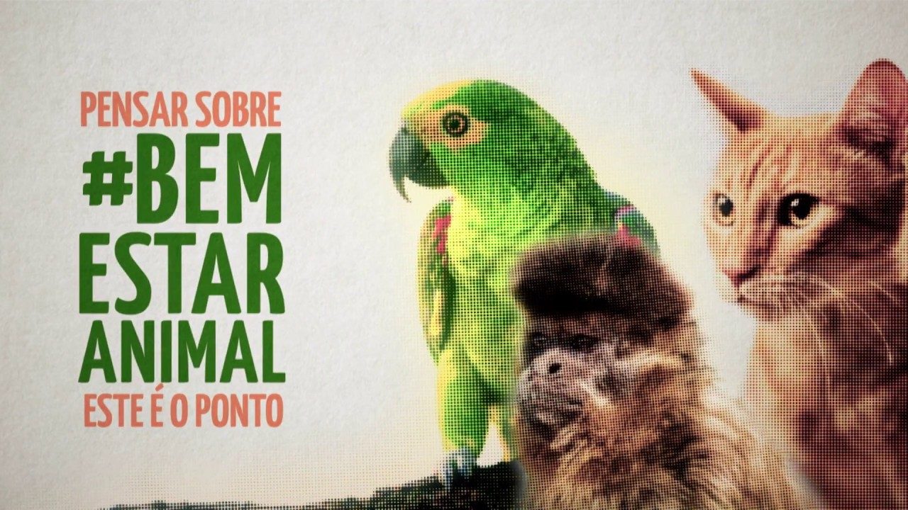 maxresdefault maxresdefault