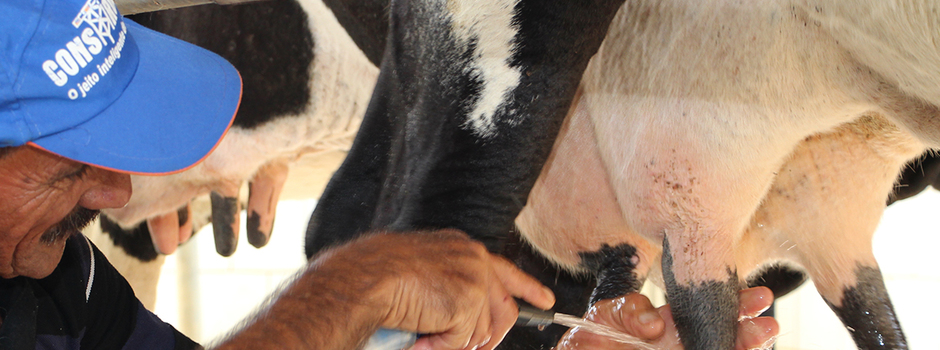 IMG_9024_Os_programas_de_prevenção_e_controle_da_mastite_são_baseados_em_práticas_de_manejo_na_ordenha