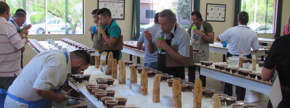 etapa_prova_concurso_café etapa_prova_concurso_café