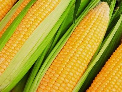 acf6686a93225dbe7b1da31c202fb7c1 acf6686a93225dbe7b1da31c202fb7c1