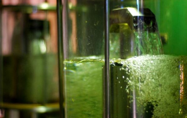 etanol_segunda_geracao-601x379