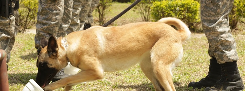 foto_4chiara_treinando