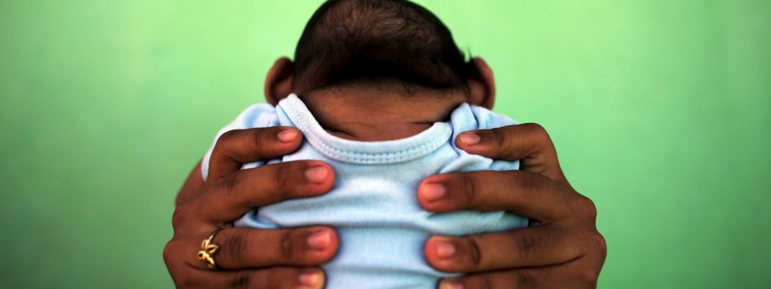 23233605310016 23233605310016