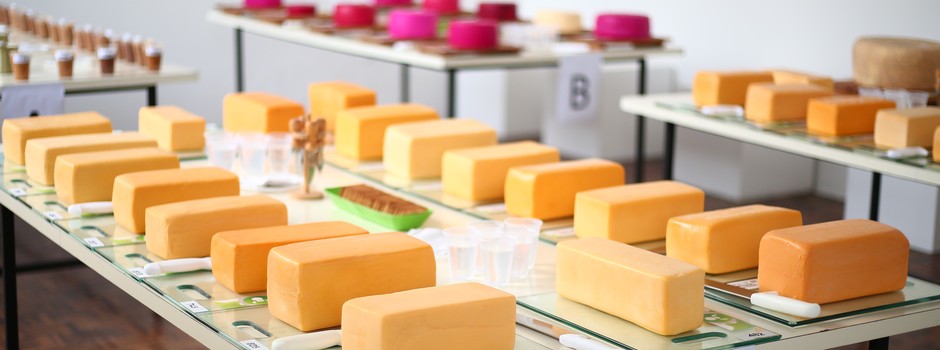 Queijo_prato._Foto_Divulgação_EPAMIG Queijo_prato._Foto_Divulgação_EPAMIG