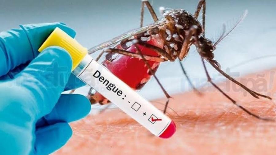 dengue-reproducao-1573407139827_v2_900x506