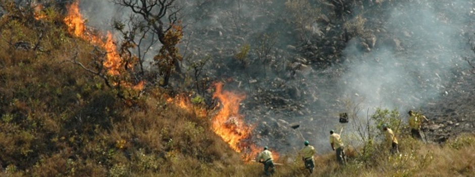 Combate_a_incêndio_floresta_em_Minas_-_Foto_Evandro_Rodney Combate_a_incêndio_floresta_em_Minas_-_Foto_Evandro_Rodney