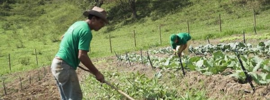 agricultores_na_horta agricultores_na_horta