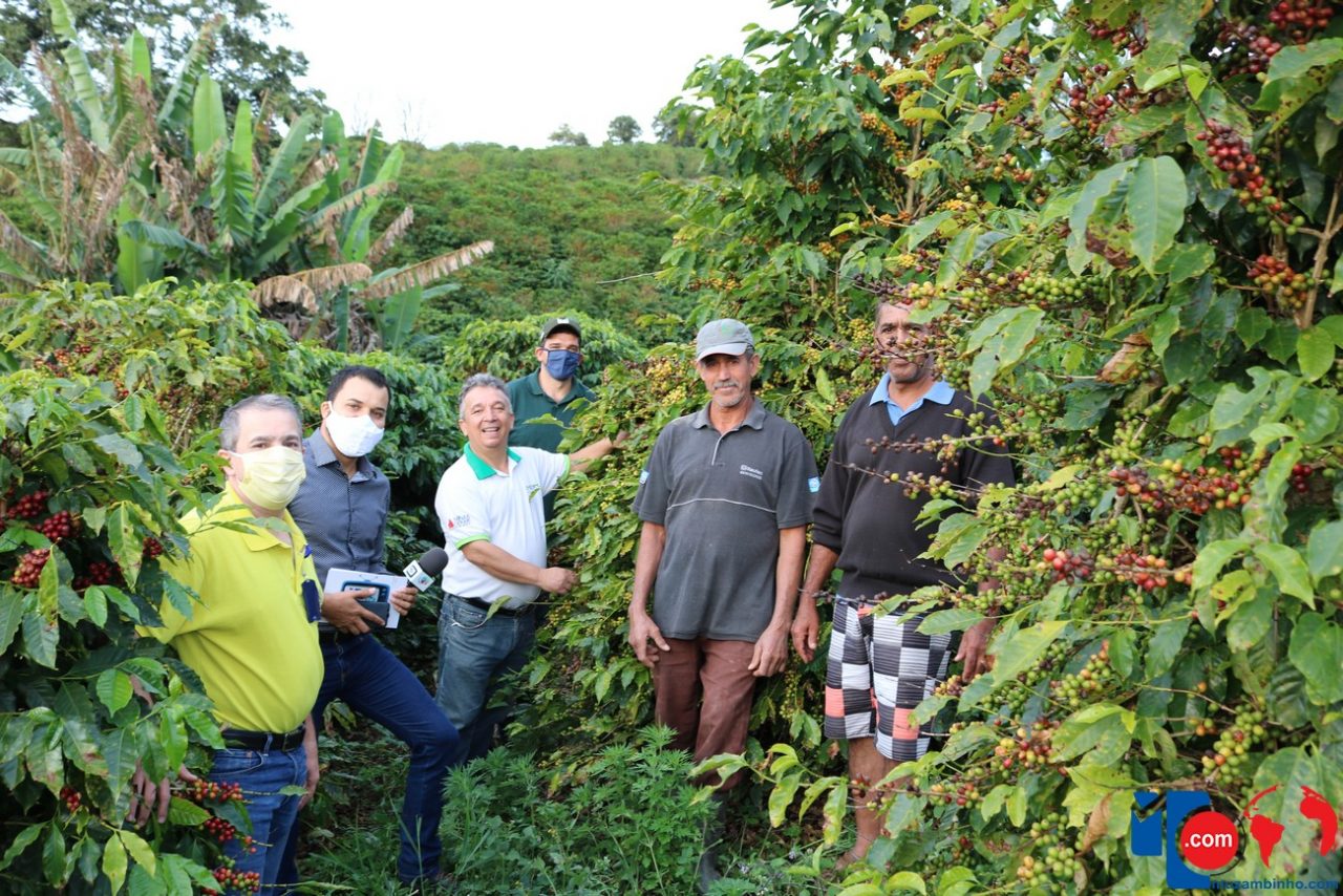 CafeBananal CafeBananal