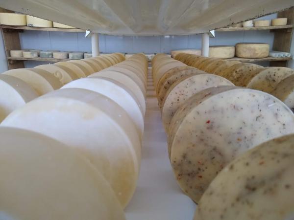 QueijosArtesanais QueijosArtesanais