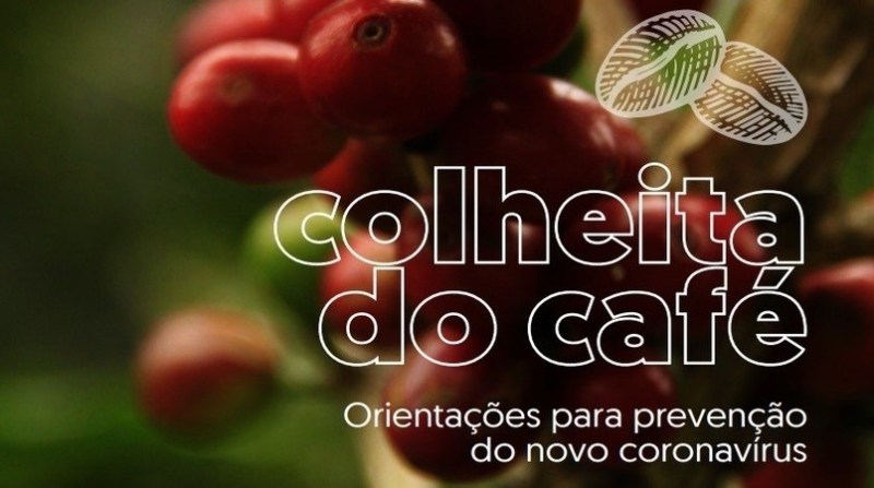 cartilha-cafeicultores-coronavirus-print-screen