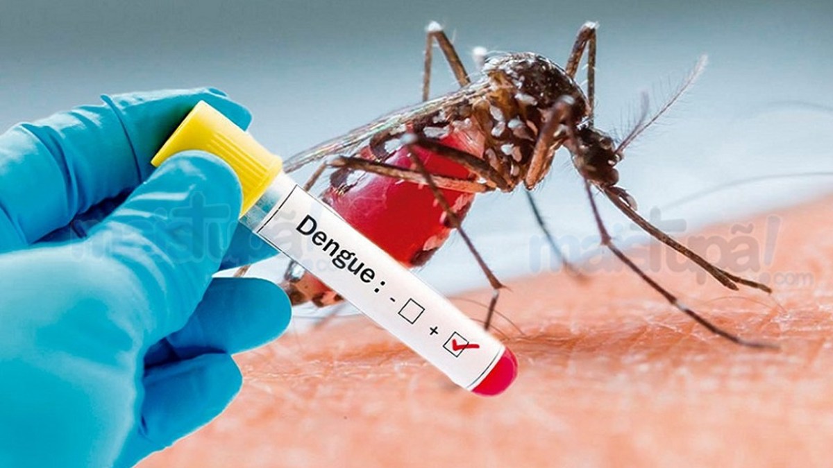 dengue12547
