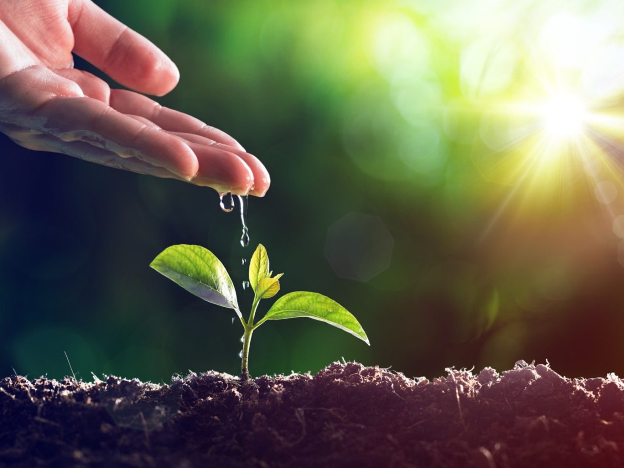 meio-ambiente meio-ambiente