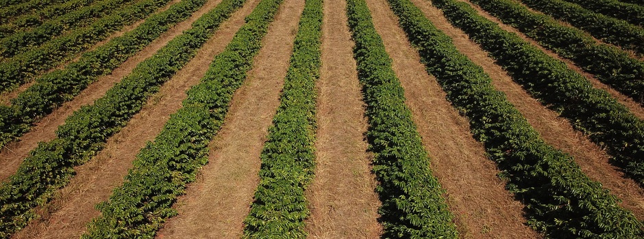 DCIM100MEDIADJI_0009.JPG DCIM100MEDIADJI_0009.JPG