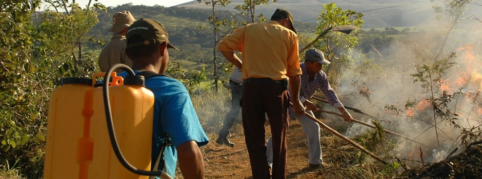 queima-controla-1_(1) queima-controla-1_(1)