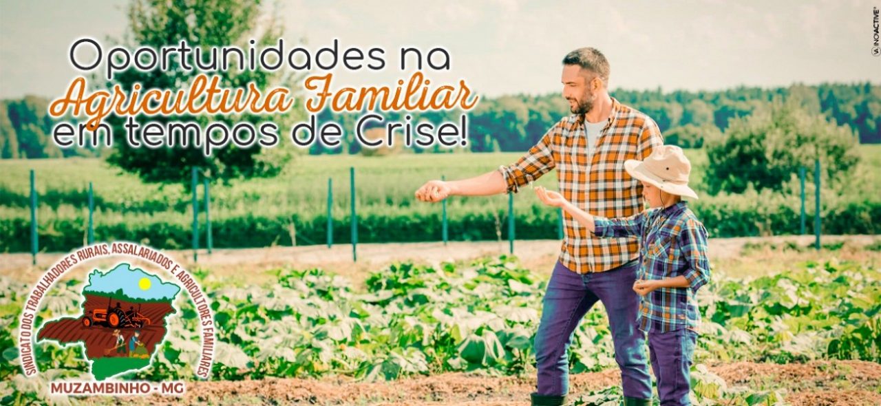 STR MUZ1208 STR MUZ1208